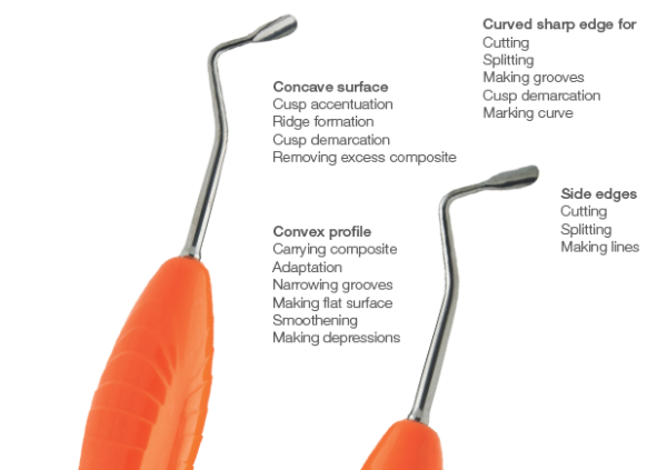 LM-Arte™ Replica Posterior Dark Diamond™