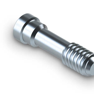 Replacement Screw for angled abutment AH20S