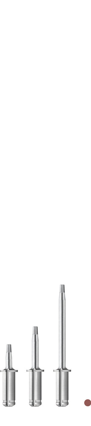 Sidekick implant drivers Master set: 27 tips (8, 13, 25mm), 1 head, aluminum box