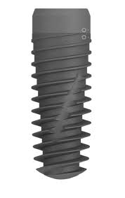 TSX® Implant System