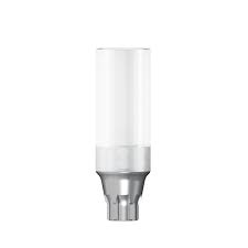 “Cast-To” Gold Abutments