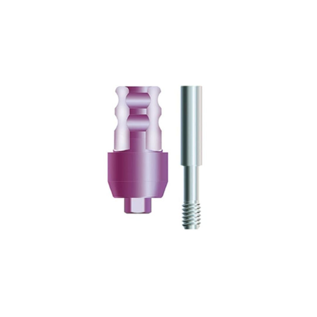 Fixture Mount/Transfer