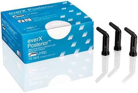 everX Posterior