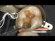 LM-Arte™ Condensa