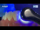 LM-Arte™ Replica Anterior