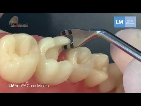 LM-Arte™ Cusp Misura